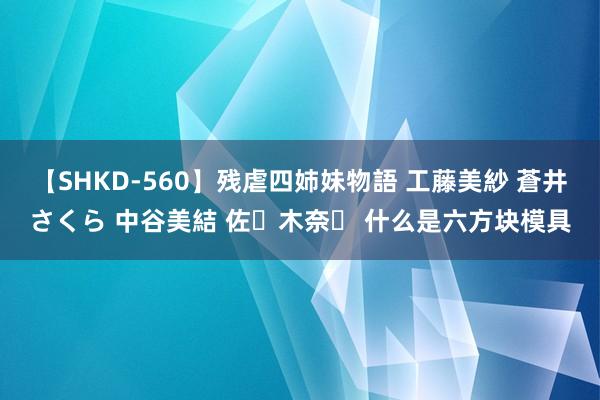 【SHKD-560】残虐四姉妹物語 工藤美紗 蒼井さくら 中谷美結 佐々木奈々 什么是六方块模具