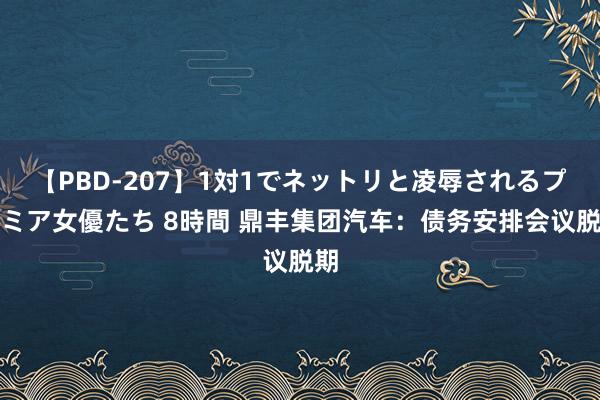 【PBD-207】1対1でネットリと凌辱されるプレミア女優たち 8時間 鼎丰集团汽车：债务安排会议脱期