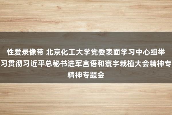 性爱录像带 北京化工大学党委表面学习中心组举行学习贯彻习近平总秘书进军言语和寰宇栽植大会精神专题会